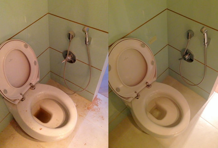 Toalet prije i poslije čišćenja praškom Sarma