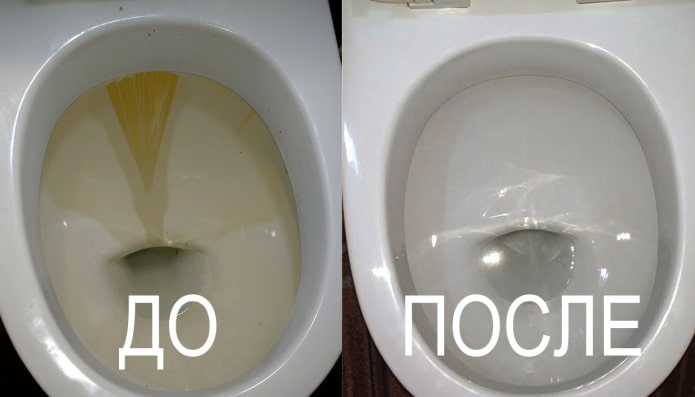 Kaip namuose išvalyti rūdis tualete?