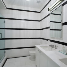 Nespalvotas vonios kambarys: apdailos pasirinkimas, santechnika, baldai, tualeto dizainas-8