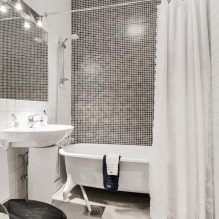 Nespalvotas vonios kambarys: apdailos pasirinkimas, santechnika, baldai, tualeto dizainas-7