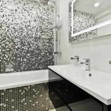 Nespalvotas vonios kambarys: apdailos pasirinkimas, santechnika, baldai, tualeto dizainas-6