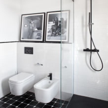 Nespalvotas vonios kambarys: apdailos pasirinkimas, santechnika, baldai, tualeto dizainas-3