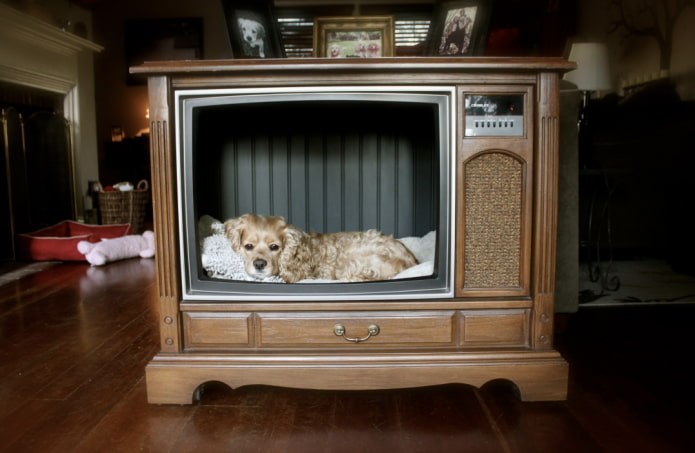 Što se može učiniti sa starog televizora: 10 korisnih ideja