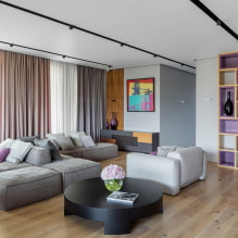 ספה בסלון: עיצוב, סוגים, חומרים, מנגנונים, צורות, צבעים, בחירת מיקום -2