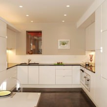 Dizajn bijele kuhinje s crnom radnom površinom: 80 najboljih ideja, fotografije u unutrašnjosti-10