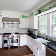 Dizajn bijele kuhinje s crnom radnom površinom: 80 najboljih ideja, fotografije u unutrašnjosti-6