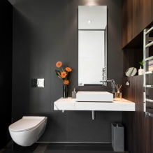 Klein toiletinterieur: kenmerken, ontwerp, kleur, stijl, 100+ foto's-5