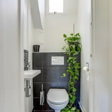 Klein toiletinterieur: kenmerken, ontwerp, kleur, stijl, 100+ foto's-0