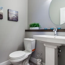 Klein toiletinterieur: kenmerken, ontwerp, kleur, stijl, 100+ foto's-23