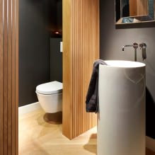 Μικρό εσωτερικό τουαλέτας: χαρακτηριστικά, σχεδιασμός, χρώμα, στυλ, 100+ φωτογραφίες-22