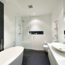 Εσωτερικό μπάνιου σε μοντέρνο στυλ: 60 καλύτερες φωτογραφίες και ιδέες για σχέδιο-10
