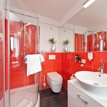 Fürdőszoba belseje modern stílusban: 60 legjobb fotó és ötlet a design-11 számára