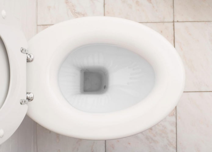 トイレの縁