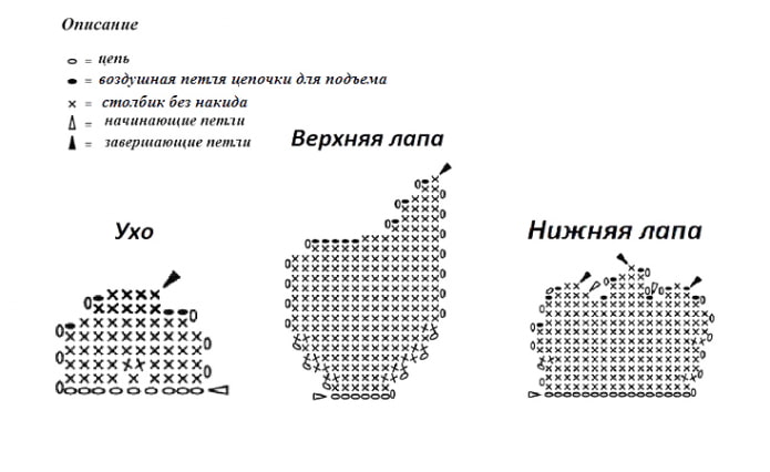 Ausų ir letenų diagrama