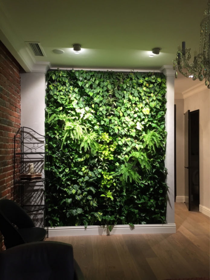 πράσινος τοίχος στο διάδρομο
