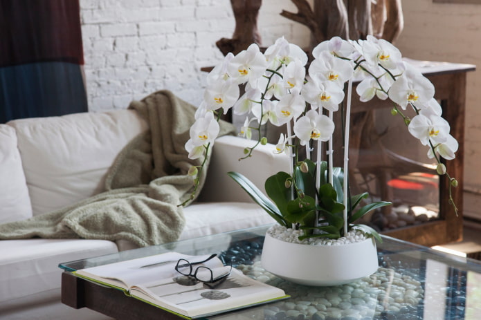 orchidee gemaakt van plastic op tafel