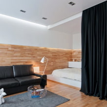 Κρεβάτι στο σαλόνι: τύποι, σχήματα και μεγέθη, ιδέες σχεδιασμού, επιλογές τοποθεσίας-1