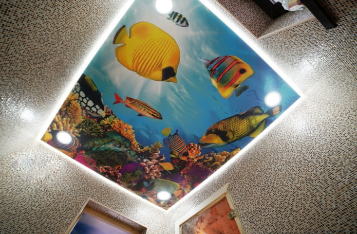 Aquarium aan het plafond