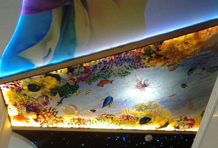 plafond met 3D-fotoprint die een aquarium imiteert