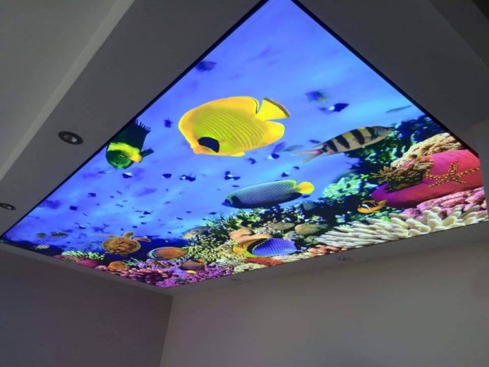 plafond met 3D-fotoprint die een aquarium imiteert