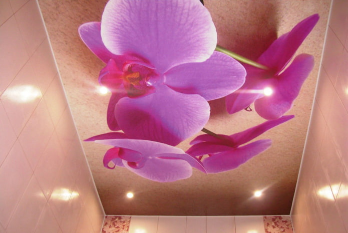 plafond met orchideeën
