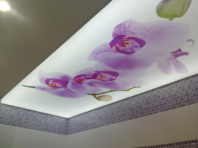 plafond met orchideeën