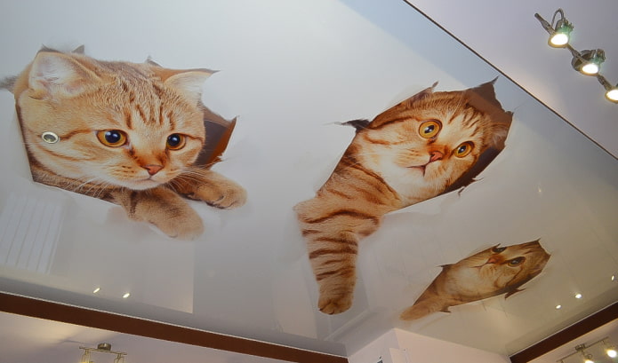 strop sa slikom mačića