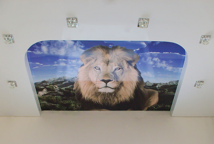plafond met een afbeelding van een leeuw
