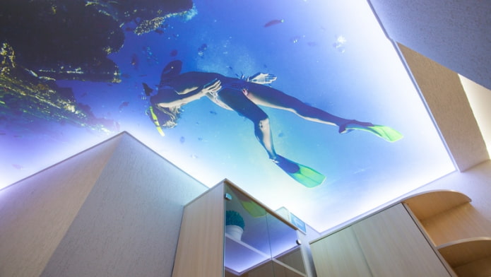 3D-plafond met de afbeelding van de zee en een duiker