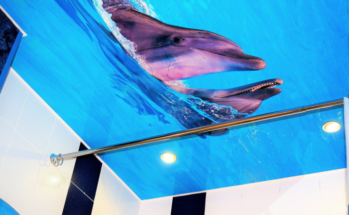plafond met een foto van dolfijnen in de badkamer