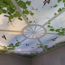 Rastegnuti stropovi s 3d efektom: dizajn i crteži, primjeri u unutrašnjosti soba-2