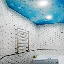 Spanplafond in de badkamer: voor- en nadelen, soorten en voorbeelden van ontwerp-6