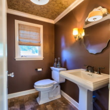 Οροφή στην τουαλέτα: τύποι ανά υλικό, κατασκευή, υφή, χρώμα, σχέδιο, φωτισμός-6
