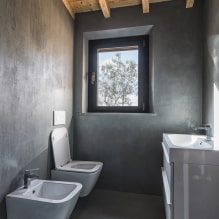 Οροφή στην τουαλέτα: τύποι ανά υλικό, κατασκευή, υφή, χρώμα, σχέδιο, φωτισμός-4