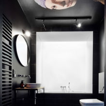Οροφή στην τουαλέτα: τύποι ανά υλικό, κατασκευή, υφή, χρώμα, σχέδιο, φωτισμός-2