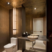 Οροφή στην τουαλέτα: θέα από υλικό, κατασκευή, υφή, χρώμα, σχέδιο, φωτισμός-0