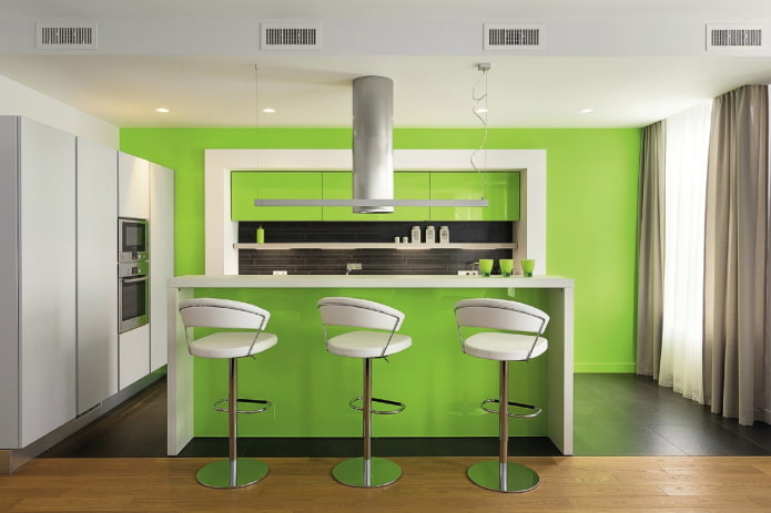 baldai ir prietaisai virtuvės interjere šviesiai žaliais tonais