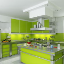 Šviesiai žalia virtuvė: deriniai, užuolaidų ir apdailos pasirinkimas, nuotraukų pasirinkimas-6