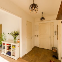 Könnyű ajtók a belső térben: típusok, színek, kombináció padlóval, falakkal, bútorokkal-0