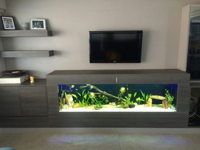 Televizorius ant sienos su akvariumu svetainėje