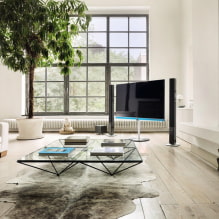 Televizorius gyvenamajame kambaryje: nuotrauka, vietos pasirinkimas, sienų dizaino galimybės salėje aplink TV-7