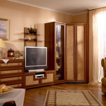 Kutni ormar u dnevnoj sobi: vrste, oblici, boje, mogućnosti punjenja, primjeri kliznih ormara u hodniku-2
