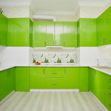 מטבח ירוק: תמונות, רעיונות עיצוב, שילובים עם צבעים אחרים -2