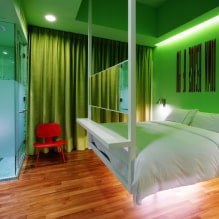 חדר שינה ירוק: גוונים, שילובים, מבחר גימורים, ריהוט, וילונות, תאורה -0