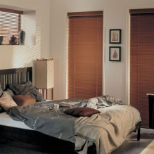 תריסים בחדר השינה: תכונות עיצוב, סוגים, חומרים, צבע, שילובים, צילום 3